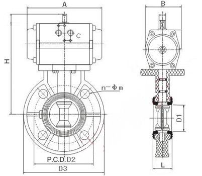 D671X-10S氣動塑料蝶閥(圖1)