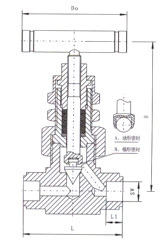 SS-6NBSW8T美標焊接針型閥(圖1)