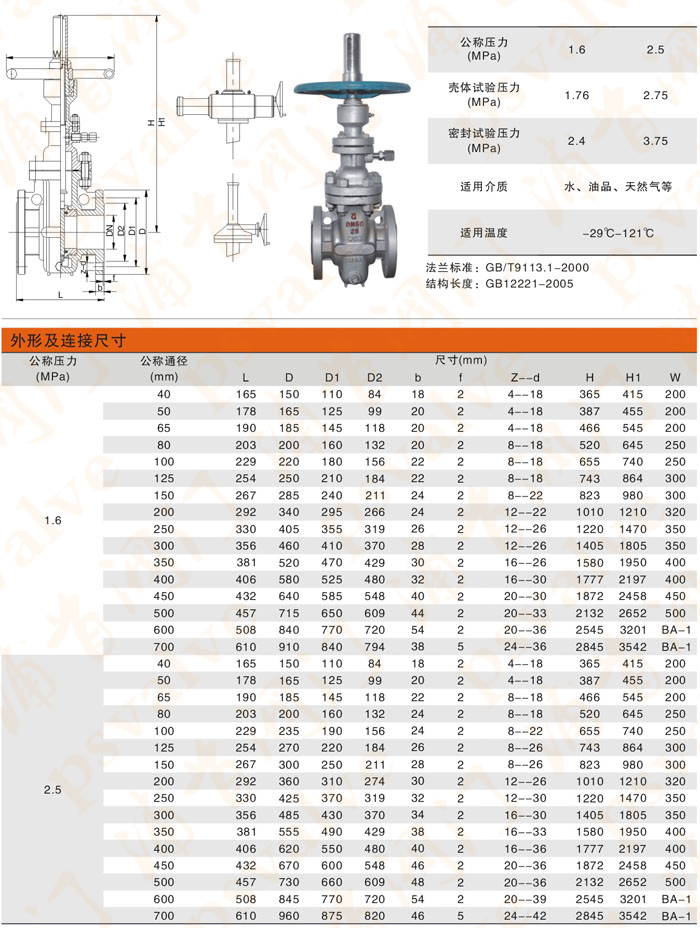 帶導流孔平板閘閥(圖1)