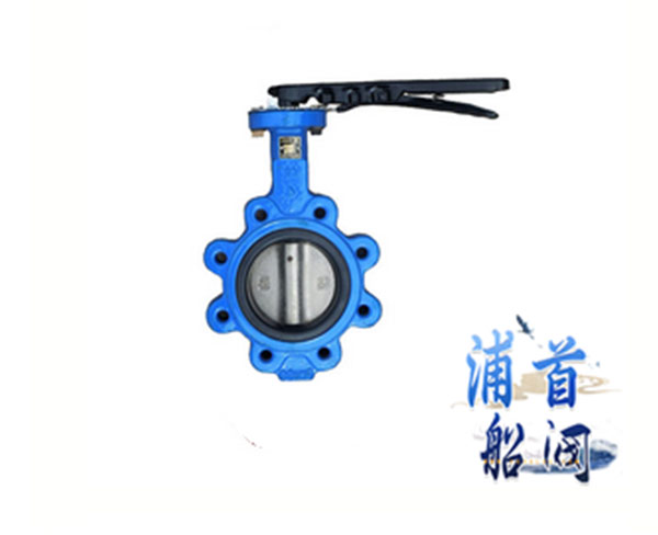 船用法蘭蝶閥結構特點_止回閥的工作原理(圖2)